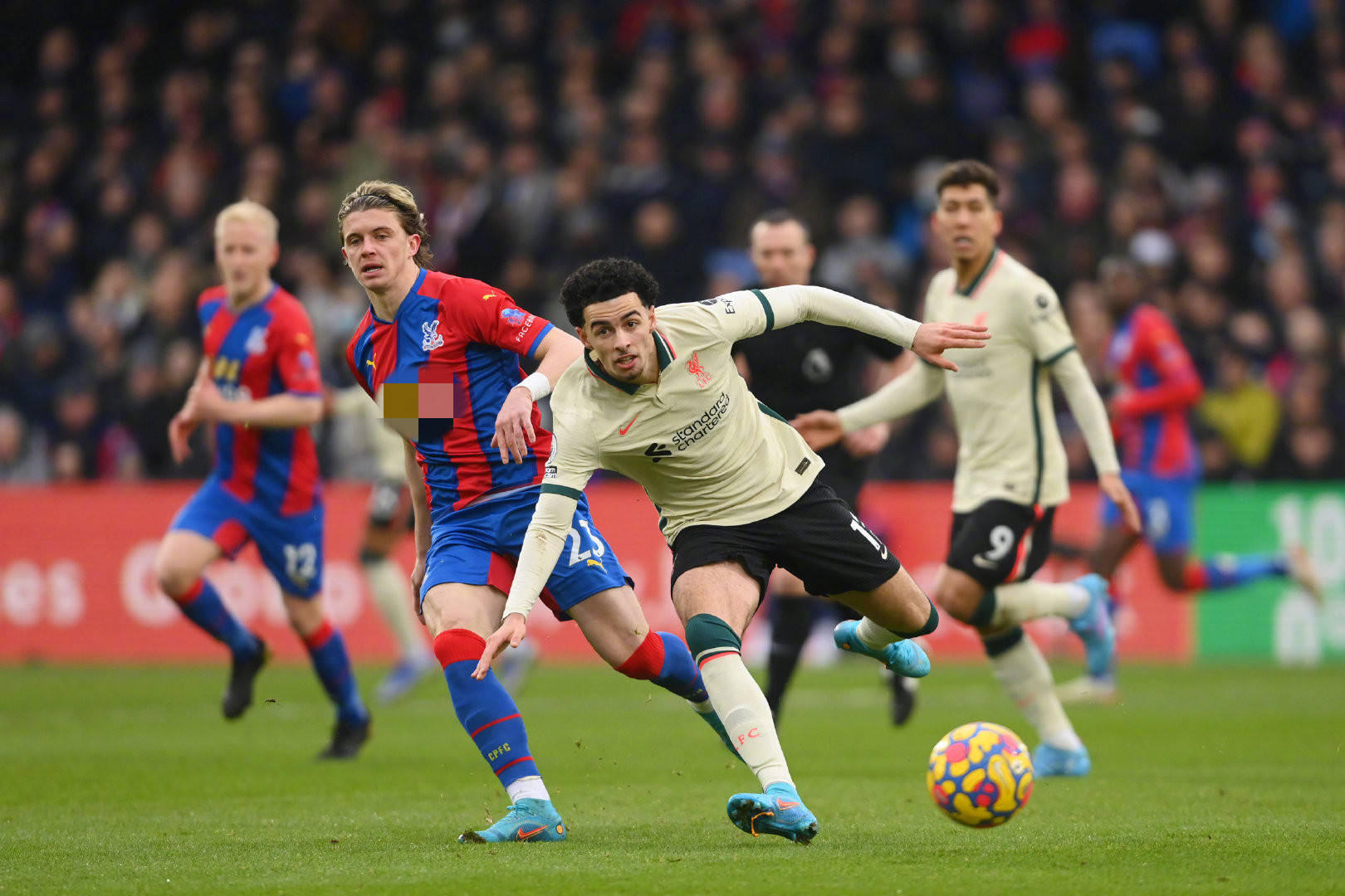 绿茵场上再 绿茵场上再